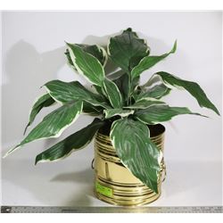 POTTED SILK PLANT
