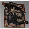 Image 1 : FLAT OF VINTAGE SKATES