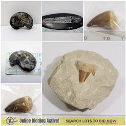 FEATURED ITEMS: TO BID SEARCH LOTS LISTED