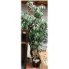 Image 1 : 6' ARTIFICIAL PLANT