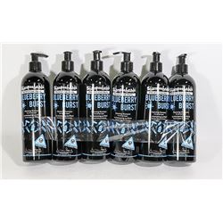 6 PACK SHAMPOOHEADS PROFESSIONAL BLUEBERRY TWIST