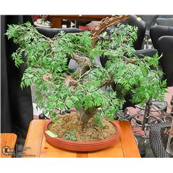 ARTIFICIAL BONZAI TREE IN POTTERY BASE