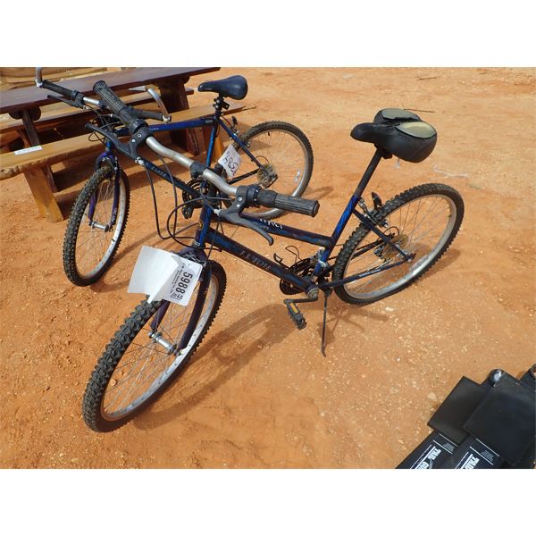 FS ELITE 21 speed bicycle