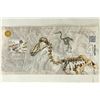 Image 2 : 2015 ICEAGE 4 ICE DOLLARS "DODO" CRISP UNC