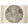 Image 1 : 2013 AMERICAN SILVER EAGLE NGC MS70 1ST RELEASES