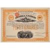 Image 1 : Alaska United Gold Mining Co. Stock Certificate--Uncancelled  (126017)