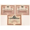 Image 1 : Red Cloud Cons. Mines Co. Stocks Plus One Other  (109264)