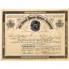 Image 1 : Burro Burro Mining Company Stock   (123656)
