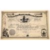 Image 1 : Cedar Tree Mining and Milling Co. Stock Certificate  (113806)