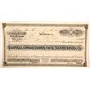 Image 1 : Hastings Consolidated Gold & Silver MIning Company Stock Certificate  (59480)