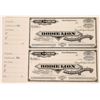 Image 1 : Bodie Lion Mining Company Stocks  (123557)