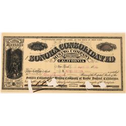 Sonora Consolidated Mining Company Stock  (123534)