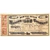 Image 1 : Newton Copper Mining Company Stock, Mt. Echo and Newton Mining Districts, Amador County, Cal  (12366