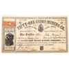 Image 1 : Fifty-One Union Mining Co. Stock, Virginia, Placer County, California  (123658)