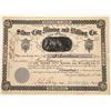 Image 1 : Silver City Mining and Milling Company Stock, New Mexico  (123653)