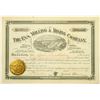 Image 1 : Eva Milling & Mining Co Stock, Durango, Mexico, 1891  (118710)