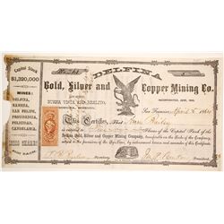 Delfina Silver and Copper Mining Stock  (90565)