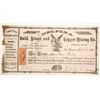 Image 1 : Delfina Silver and Copper Mining Stock  (90565)