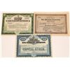 Image 1 : Dunn Petroleum Corporation Stock Certificate Trio  (126039)