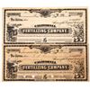 Image 1 : California Fertilizing Company Stock Certificate Pair  (109302)