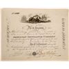 Image 1 : American Insurance Company Stock Certificate  (125893)