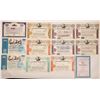 Image 1 : Walt Disney Stock Certificates Plus Bonus (10)  (126961)