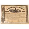 Image 1 : American Express Co. Stock Certificate Signed by Wells and Fargo  (126072)