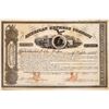 Image 1 : American Express Co. Stock Certificate Signed by Fargo & Butterfield  (126069)