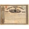 Image 1 : American Express Co. Stock Certificate Signed by Wells and Fargo  (126070)