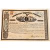 Image 1 : American Express Co. Stock Certificate Signed by Wells and Fargo  (126071)