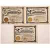 Image 1 : Alabama Land Company Stock Certificate Trio  (126008)