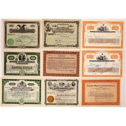 Musical Instruments & Music-Related Stock Certificates (9)  (126340)