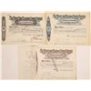 Image 1 : Monte Video Telephone Company, Limited Stock Certificates  (126416)