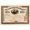 Image 1 : Mississippi Valley National Telegraph Co. Stock Certificate  (126399)