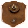 Image 2 : Dallas Rail Way & Terminal Company Hat Badge  (126631)