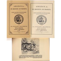 Arizona: Its Resources and Prospects 1865  (125495)
