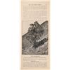 Image 8 : Cerro Gordo Prospectus, c1908  (127092)