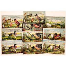 Frog & Duck Comic Trade Cards - 10  (126881)