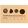 Image 2 : Foreign Coins  (124449)