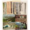 Image 1 : Hollywood Bowl Postcards with RPC's  (102354)