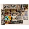 Image 1 : Petrified Forest Postcards (29)  (101795)
