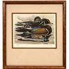 Image 1 : Wood Ducks Giclee Print  (116203)