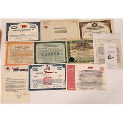 Baseball Stock Certificate Collection  (124724)