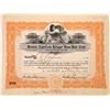 Image 1 : Boston American League Base-Ball Club Stock Certificate  (107992)