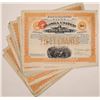 Image 1 : Alaska United Gold Mining Company Stock Certificates (20)  (126015)