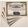 Image 1 : Alaska United Gold Mining Company Stock Certificates (20)  (126013)