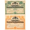 Image 1 : Two Different Standard Smelting & Refining Company Stock Certificates  (59484)