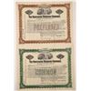 Image 1 : Northern Brewery Company Stock Certificates  (126211)