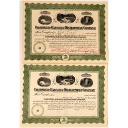 California-Hawaiian Development Co.   (115999)