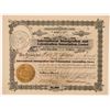 Image 1 : International Immigration and Colonization Assoc., LTD  (115887)